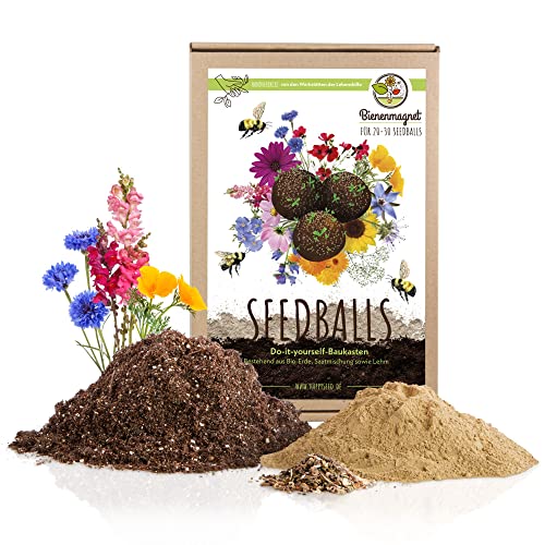 Samenbomben selber machen für eine bunte Bienenweide - Bienenfreundlicher Seedbomb Bausatz für 20-30 Seedbombs von HappySeed