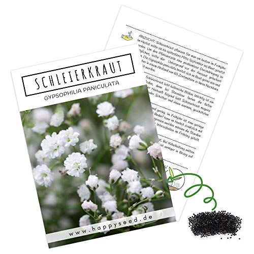 Schleierkraut Samen mehrjährig & winterhart (Gypsophilia paniculata) - Herrlich duftendes Blütenmeer & perfekt in Kombination mit Blumensträußen von HappySeed