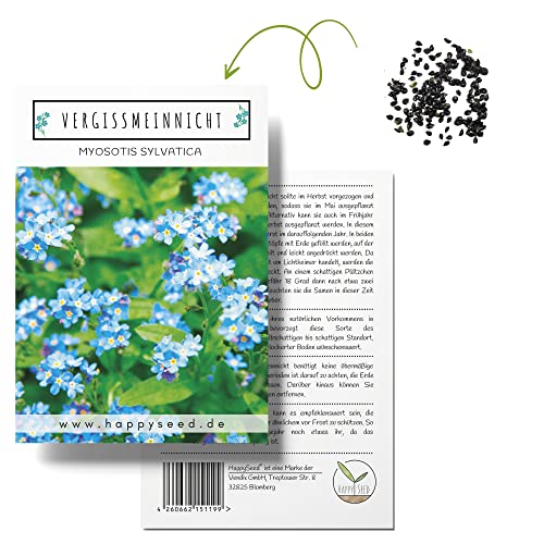 Vergissmeinnicht Samen (Myosotis) - Märchenhafte Blumen mit langer Blütezeit für das Beet, den Balkon und die Terrasse von HappySeed