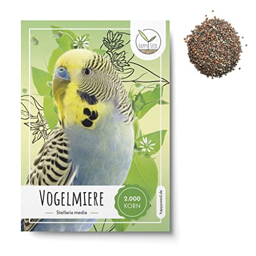 Vogelmiere Samen (Stellaria media) - Wertvolle Heilpflanze und beliebte Futterpflanze für Wellensittiche und viele andere Vögel (Vogelmiere) von HappySeed