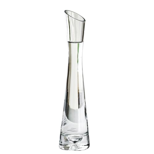 25 cm hohe klare Glasvase mit schmalem Hals, schmale Knospenvase, schmale Blumenvase, Blumenvase, Tafelaufsatz für Hochzeit, Party, Zuhause, Tischdekoration 25 cm hohe klare Glasvase mit schmalem Hals, schmale Knospenvase, schmale Blumenvase, Blumenvase, Tafelaufsatz für Hochzeit, Party, Zuhause, Tischdekoration von Happyupcity
