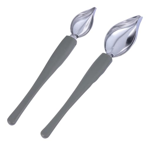 Happyyami 2 Stück Teiliges Saucenlöffel zum Dekorieren Vielseitiger Kuchendekorationslöffel für Soßenmalerei Robust und Rostfrei für Kuchen Kaffee und Westliche Speisen von Happyyami