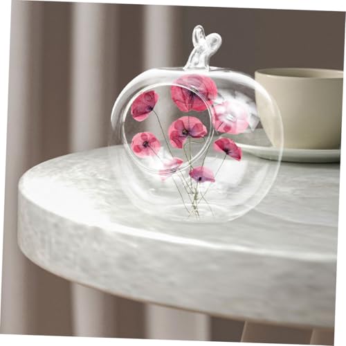 Happyyami 3 Stück Hydroponische Glasflaschen in Apfelform Transparent für Wasserpflanzen Tischterrarium Mikro Landschaftsdekor Vielseitiger Tischgarten für Zuhause und Büro Happyyami 3 Stück Hydroponische Glasflaschen in Apfelform Transparent für Wasserpflanzen Tischterrarium Mikro Landschaftsdekor Vielseitiger Tischgarten für Zuhause und Büro von Happyyami