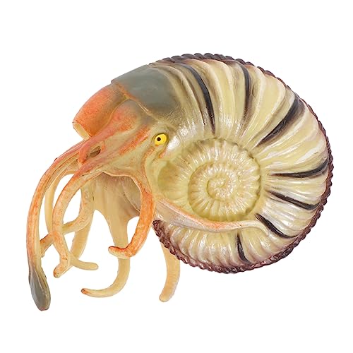 Happyyami Nautilus Modell Spielzeug Aus Simuliertes Nautilus Tiermodell Für Junge Mädchen Leicht Und Tragbar Als Dekoration Für Aquarium Oder Schreibtisch Fördert Kreativität Und Vorstellungskraft Happyyami Nautilus Modell Spielzeug Aus Simuliertes Nautilus Tiermodell Für Junge Mädchen Leicht Und Tragbar Als Dekoration Für Aquarium Oder Schreibtisch Fördert Kreativität Und Vorstellungskraft von Happyyami