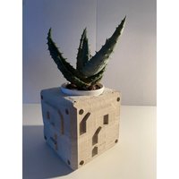 Super Mario Fragezeichenblock Planter von Hapticalfactory