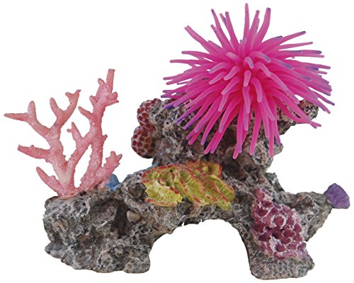 Haquoss Reef Fantasy 4, 14.5 x 8 x 12h cm von Haquoss