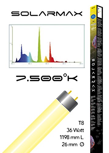 Haquoss Solarmax 36 Watt / 1198 mm von Haquoss