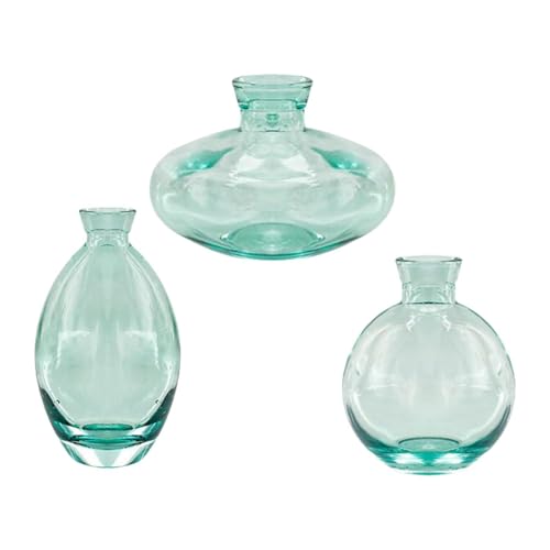 Harilla 3-teilige Glasvase, Blumenvase, Wasserkulturvasen, Innendekoration, Wachstumsvasen für Freunde, Frauen, Pflanzenliebhaber von Harilla