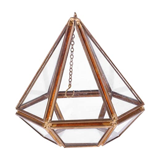 Harilla Geometrische Sechseckigen Schmuck Box Tischplatte Terrarium Pflanze Sukkulenten Pflanzer, Kupfer, 10 x 9 x 10,5 cm von Harilla