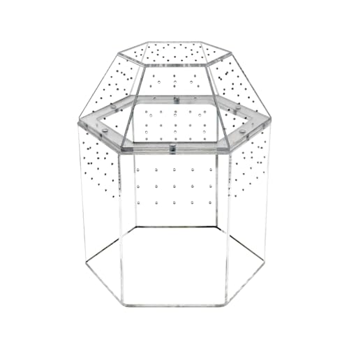 Harilla Reptilien-Terrarium, Reptilienbecken, Gehege für Springspinnen, Terrarium, Lebensraum, kleine Zuchtbox für Schildkröten, Skorpione, Tausendfüßler Harilla Reptilien-Terrarium, Reptilienbecken, Gehege für Springspinnen, Terrarium, Lebensraum, kleine Zuchtbox für Schildkröten, Skorpione, Tausendfüßler von Harilla