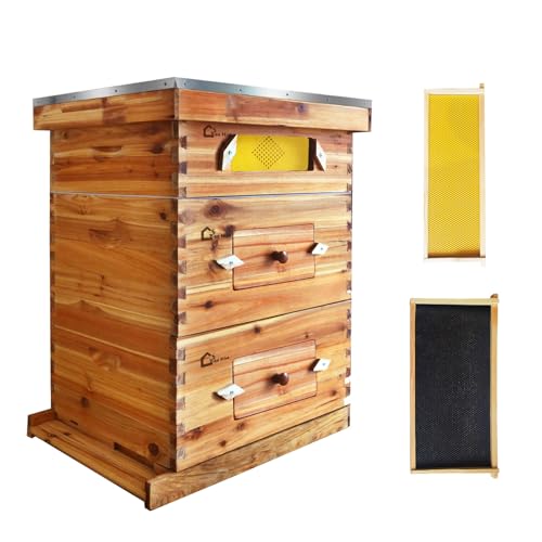 10-Frame Complete Bee Hives and Supplies Starter Kit Dipped in 100% Beeswax, Includes 2 Deep Hive Bee Box and 1 Bee Hive Super with Acrylic Window, Beehive Frames and Foundation for Imker von HarmonyHealth