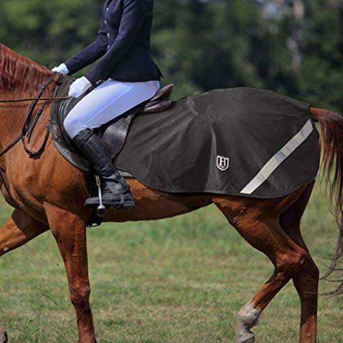Harrison Howard Climax Pferdetrainingsdecke Wasserdichtes Hi-Vis-Futter Wettkampfteppich Fleece Schwarz M Harrison Howard Climax Pferdetrainingsdecke Wasserdichtes Hi-Vis-Futter Wettkampfteppich Fleece Schwarz M von Harrison Howard
