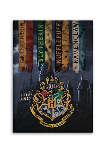 AYMAX S.P.R.L Potter Kids Blanket Polar Fleece - Hufflepuff - Multicolor - 100x140 cm, RXZER23, Cranberry, Baby AYMAX S.P.R.L Potter Kids Blanket Polar Fleece - Hufflepuff - Multicolor - 100x140 cm, RXZER23, Cranberry, Baby von Harry Potter