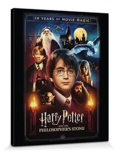Harry Potter 1art1 Poster 20 Years of Movie Magic Bilder Leinwand-Bild Auf Keilrahmen | XXL-Wandbild Poster Kunstdruck Als Leinwandbild 50x40 cm von Harry Potter