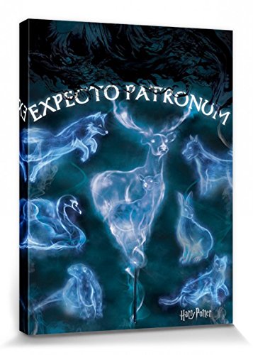 Harry Potter 1art1 Poster Expecto Patronum, Patronus Bilder Leinwand-Bild Auf Keilrahmen | XXL-Wandbild Poster Kunstdruck Als Leinwandbild 80x60 cm von Harry Potter