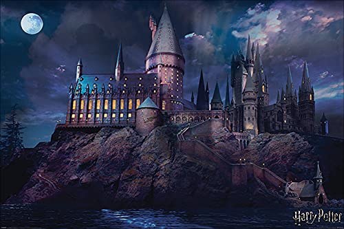 Harry Potter Poster Hogwarts, Schule, Schloss, Mond Plakat | Bild 91x61 cm von Harry Potter