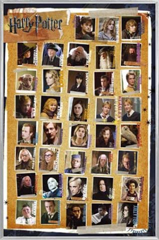 Harry Potter 1art1 Poster Plakat | Bild und Kunststoff-Rahmen - 7, Und Die Heiligtümer des Todes, Charactere (91 x 61cm) von Harry Potter