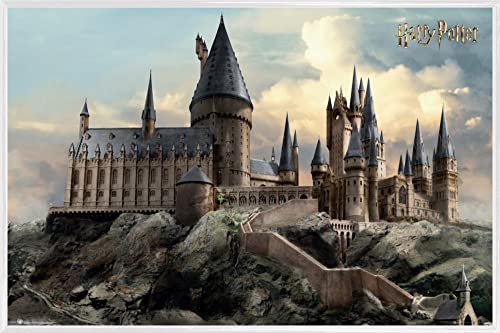 Harry Potter Poster Plakat | Bild und Kunststoff-Rahmen - Hogwarts Day (91 x 61cm) von Harry Potter