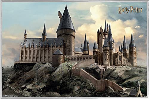 Harry Potter Poster Plakat | Bild und Kunststoff-Rahmen - Hogwarts Day (91 x 61cm) von Harry Potter