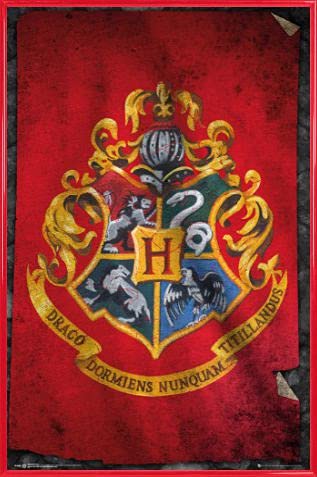 Harry Potter Poster Plakat | Bild und Kunststoff-Rahmen - Hogwarts Flagge (91 x 61cm) von Harry Potter