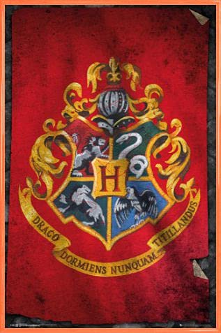 Harry Potter 1art1 Poster Plakat | Bild und Kunststoff-Rahmen - Hogwarts Flagge (91 x 61cm) von Harry Potter