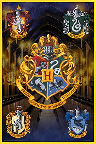 Harry Potter 1art1 Poster Plakat | Bild und Kunststoff-Rahmen - Hogwarts Shields (91 x 61cm) von Harry Potter