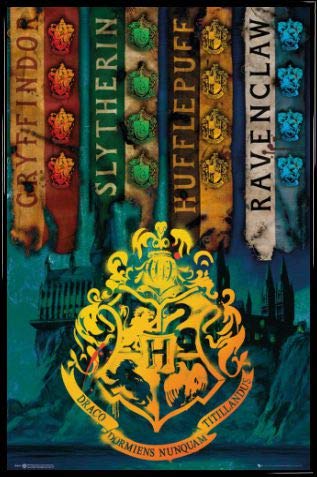 Harry Potter Poster Plakat | Bild und Kunststoff-Rahmen - House Flags (91 x 61cm) von Harry Potter