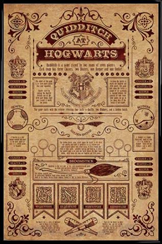 Harry Potter Poster Plakat | Bild und Kunststoff-Rahmen - Quidditch In Hogwarts (91 x 61cm) von Harry Potter