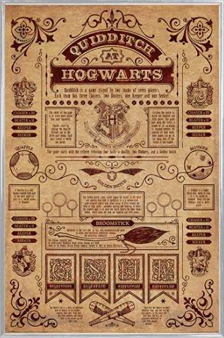 HARRY POTTER Poster Plakat | Bild und Kunststoff-Rahmen - Quidditch In Hogwarts (91 x 61cm) von HARRY POTTER