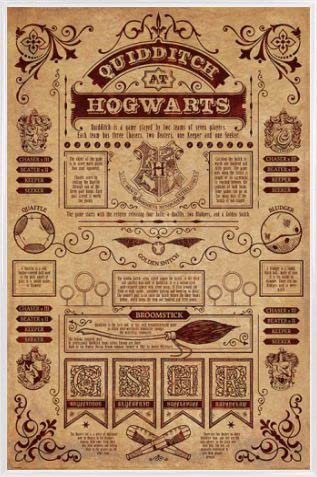 Harry Potter 1art1 Poster Plakat | Bild und Kunststoff-Rahmen - Quidditch In Hogwarts (91 x 61cm) von Harry Potter