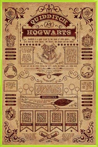 HARRY POTTER Poster Plakat | Bild und Kunststoff-Rahmen - Quidditch In Hogwarts (91 x 61cm) von HARRY POTTER