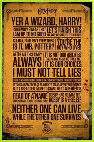 Harry Potter Poster Plakat | Bild und Kunststoff-Rahmen - Quotes (91 x 61cm) von Harry Potter