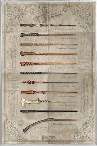 Harry Potter 1art1 Poster Plakat | Bild und Kunststoff-Rahmen - The Wand Chooses The Wizard (91 x 61cm) von Harry Potter