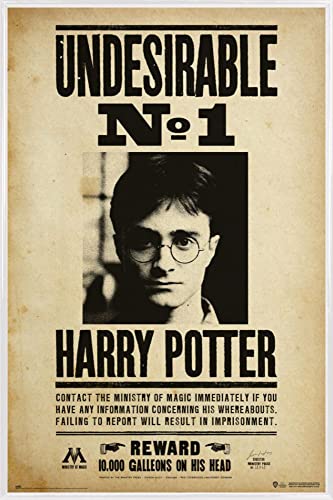 Harry Potter 1art1 Poster Plakat | Bild und Kunststoff-Rahmen - Undesiderable N1 (91 x 61cm) von Harry Potter