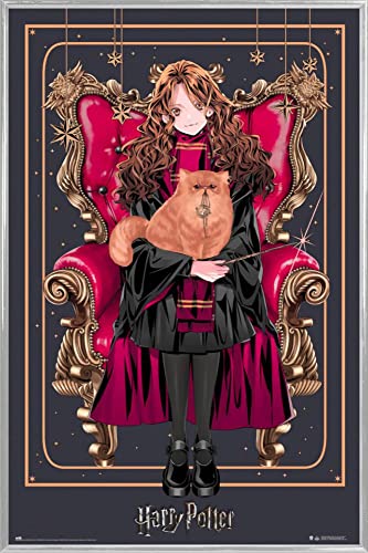 Harry Potter Poster Plakat | Bild und Kunststoff-Rahmen - Wizard Dynasty Hermione Granger (91 x 61cm) von Harry Potter