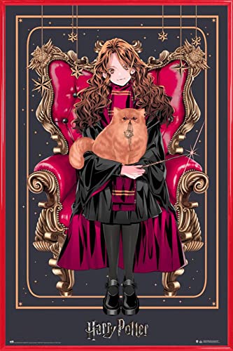 Harry Potter Poster Plakat | Bild und Kunststoff-Rahmen - Wizard Dynasty Hermione Granger (91 x 61cm) von Harry Potter