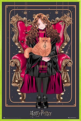 Harry Potter Poster Plakat | Bild und Kunststoff-Rahmen - Wizard Dynasty Hermione Granger (91 x 61cm) von Harry Potter