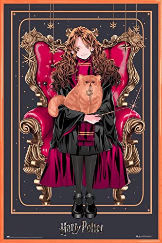 Harry Potter Poster Plakat | Bild und Kunststoff-Rahmen - Wizard Dynasty Hermione Granger (91 x 61cm) von Harry Potter