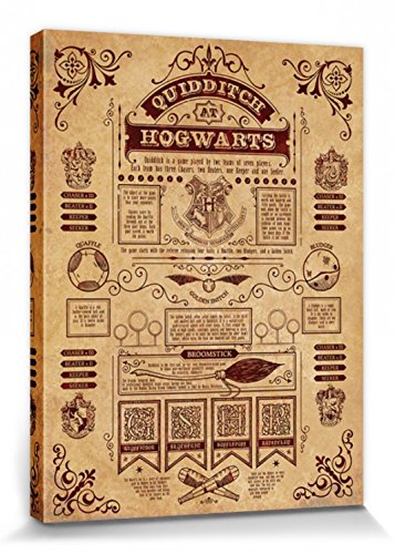 Harry Potter 1art1 Poster Quidditch In Hogwarts Bilder Leinwand-Bild Auf Keilrahmen | XXL-Wandbild Poster Kunstdruck Als Leinwandbild 80x60 cm von Harry Potter