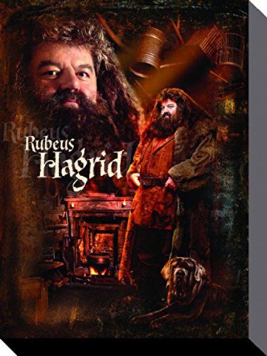 Harry Potter 1art1 Poster Rubeus Hagrid, Gryffindor Bilder Leinwand-Bild Auf Keilrahmen | XXL-Wandbild Poster Kunstdruck Als Leinwandbild 40x30 cm von Harry Potter