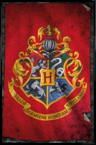 Harry Potter Poster Plakat | Bild und Kunststoff-Rahmen - Hogwarts Flagge (91 x 61cm) von Harry Potter