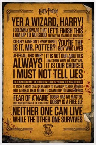 Harry Potter 1art1 Poster Plakat | Bild und Kunststoff-Rahmen - Quotes (91 x 61cm) von Harry Potter