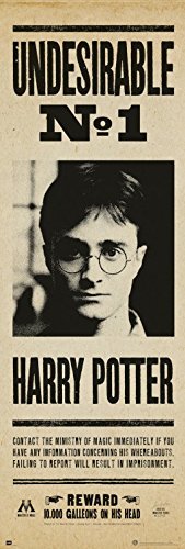 Harry Potter Tür-Poster Unerwünschter Nr 1, Daniel Radcliffe Plakat | Bild 158x53 cm von Harry Potter