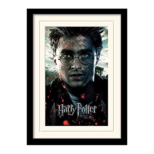 Harry Potter Bild, gerahmt mit Passepartout Mehrfarbig 30 x 40 cm von Pyramid International