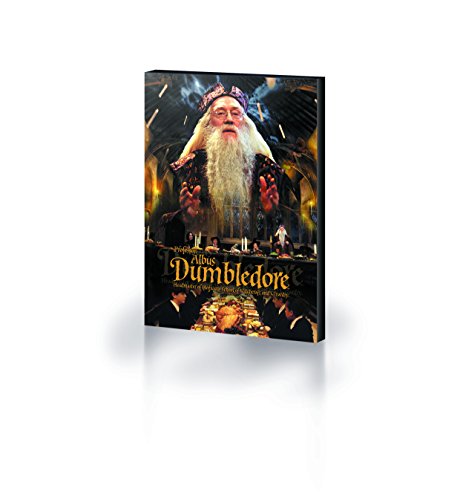 Wizarding World Leinwanddruck, Polyester, Mehrfarbig, 40 x 50 cm von Harry Potter