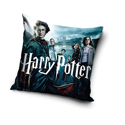Harry Potter HP214031 Kissenbezug 40 x 40 cm, Polyester, quadratisch, Polyester von Harry Potter