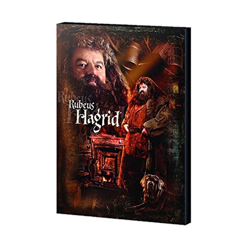 Harry Potter Hagrid Kunstdruck auf Leinwand, 40 x 30 cm, Braun von Harry Potter