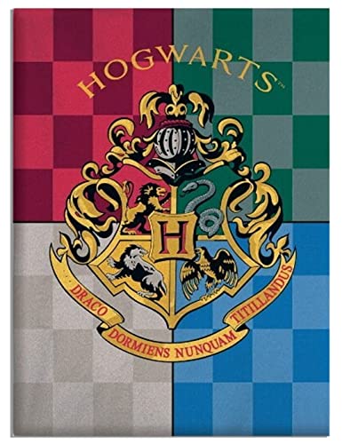 Harry Potter Hogwarts Logo Fleecedecke 100 x 140 cm von Harry Potter