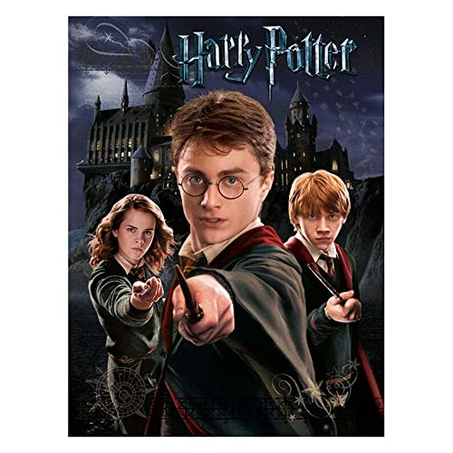 Harry Potter Kunstdruck auf Leinwand, 40 x 30 cm, Grau / Schwarz von Harry Potter