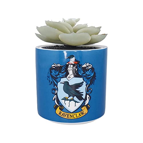 Harry Potter Pflanztopf Steingut blau 150ml von Harry Potter